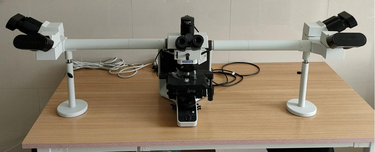 圖片3-OLYMPUS多頭顯微鏡.png